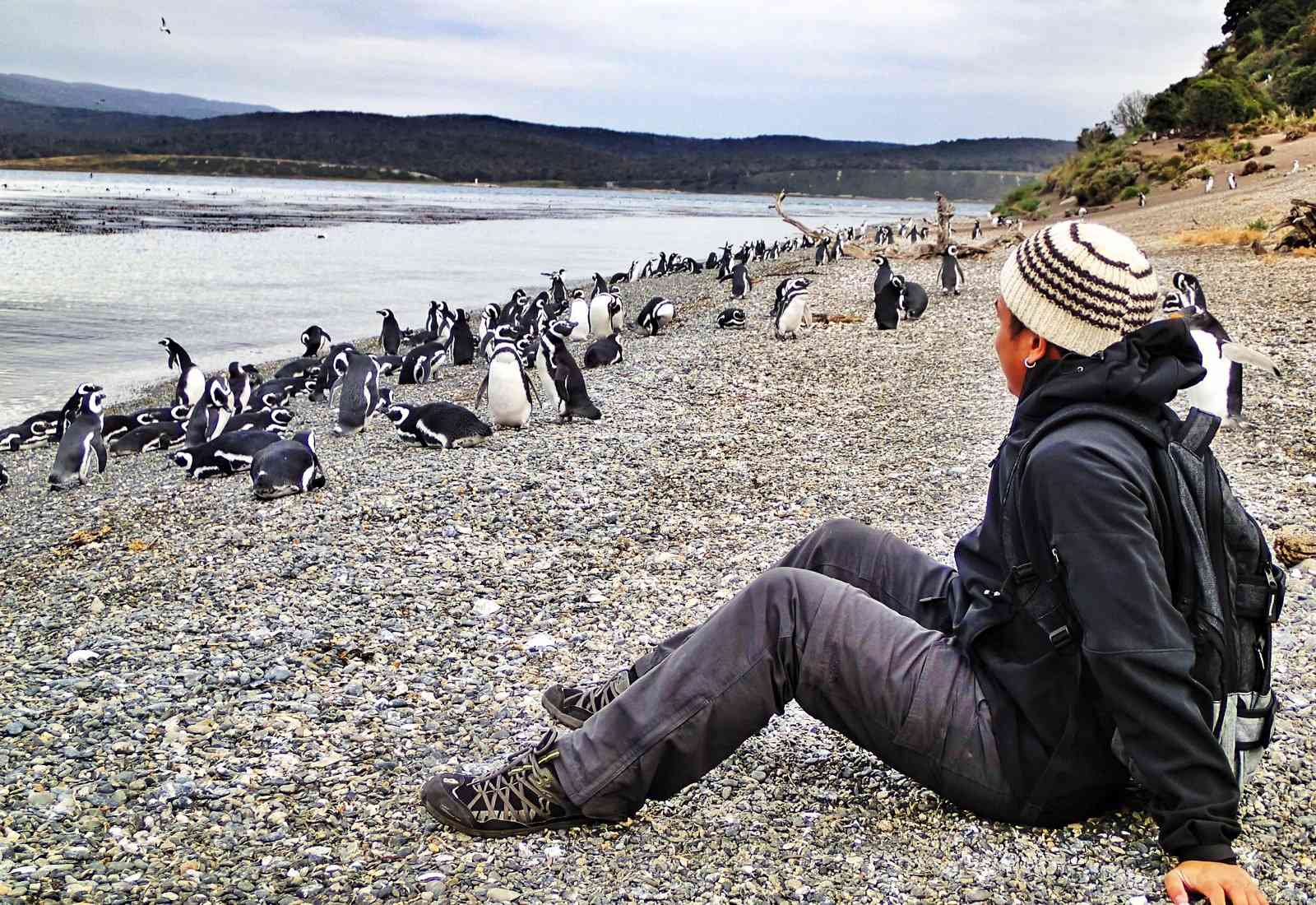 Туристка сидит на острове Мартильо и наблюдает за пингвинами